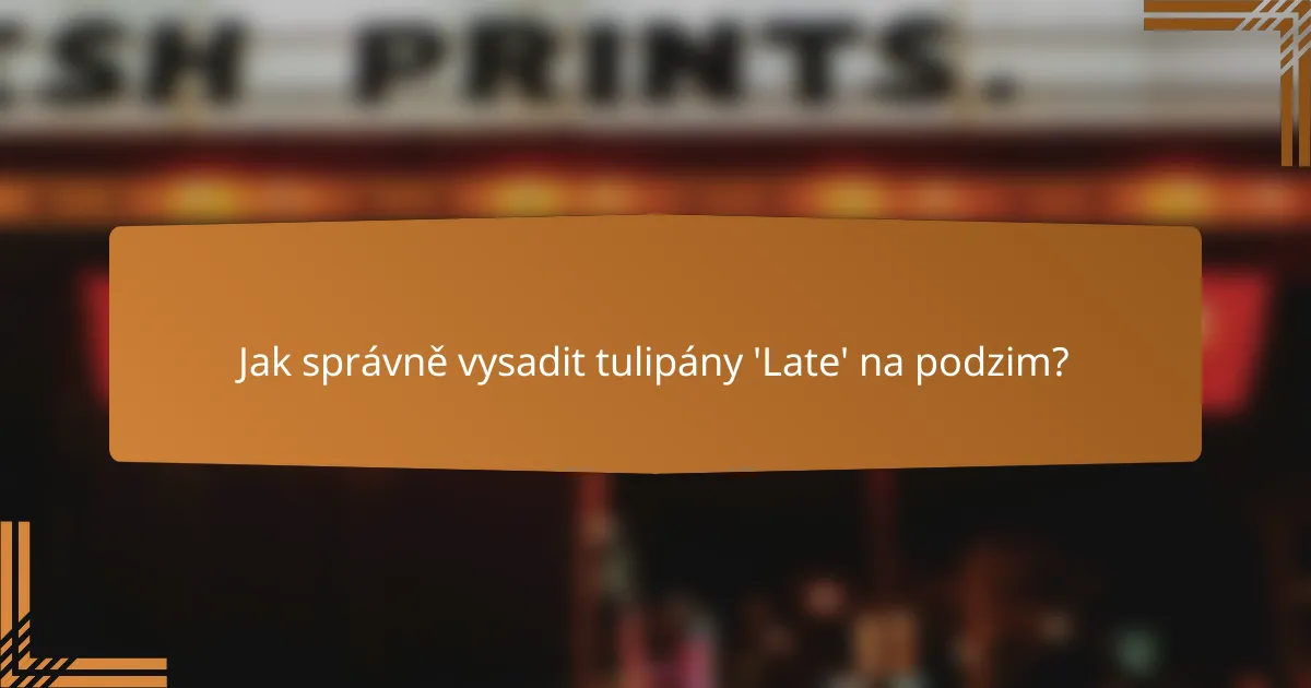 Jak správně vysadit tulipány 'Late' na podzim?