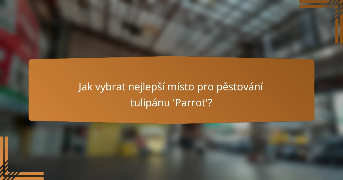 Jak vybrat nejlepší místo pro pěstování tulipánu 'Parrot'?
