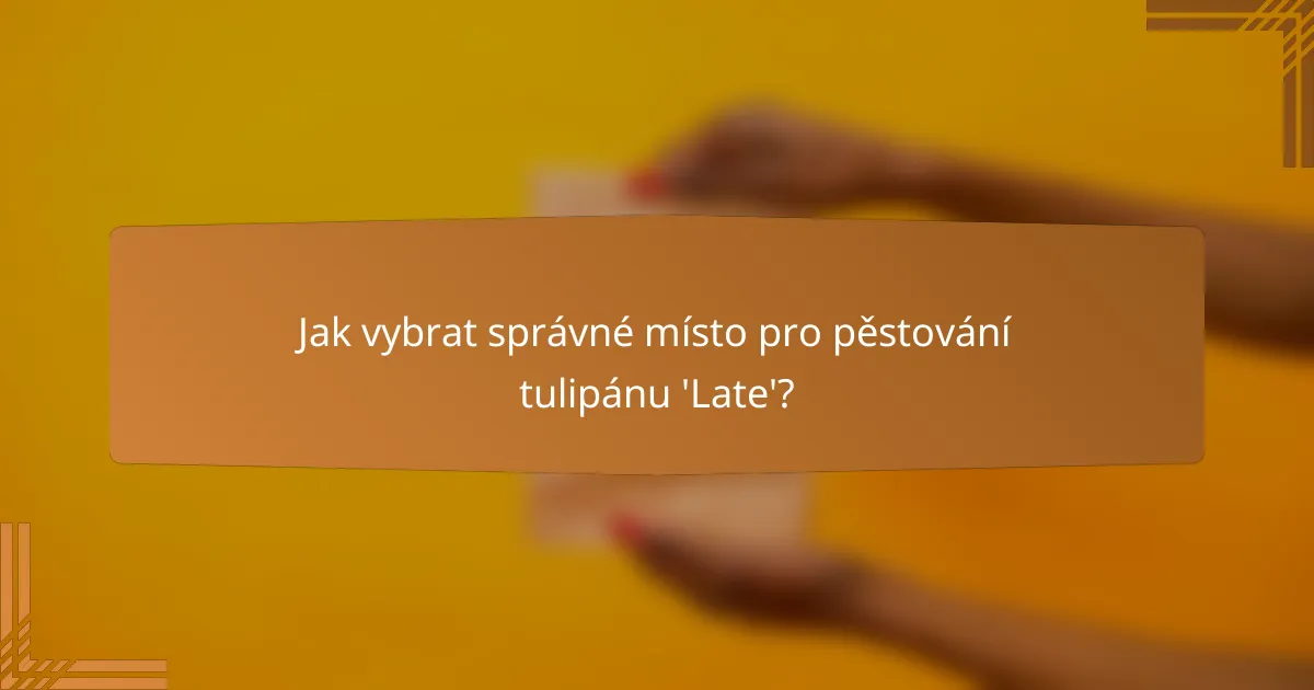 Jak vybrat správné místo pro pěstování tulipánu 'Late'?