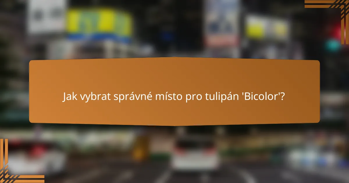 Jak vybrat správné místo pro tulipán 'Bicolor'?