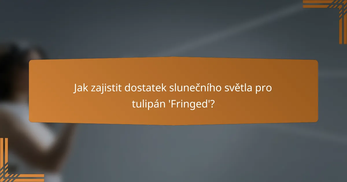 Jak zajistit dostatek slunečního světla pro tulipán 'Fringed'?