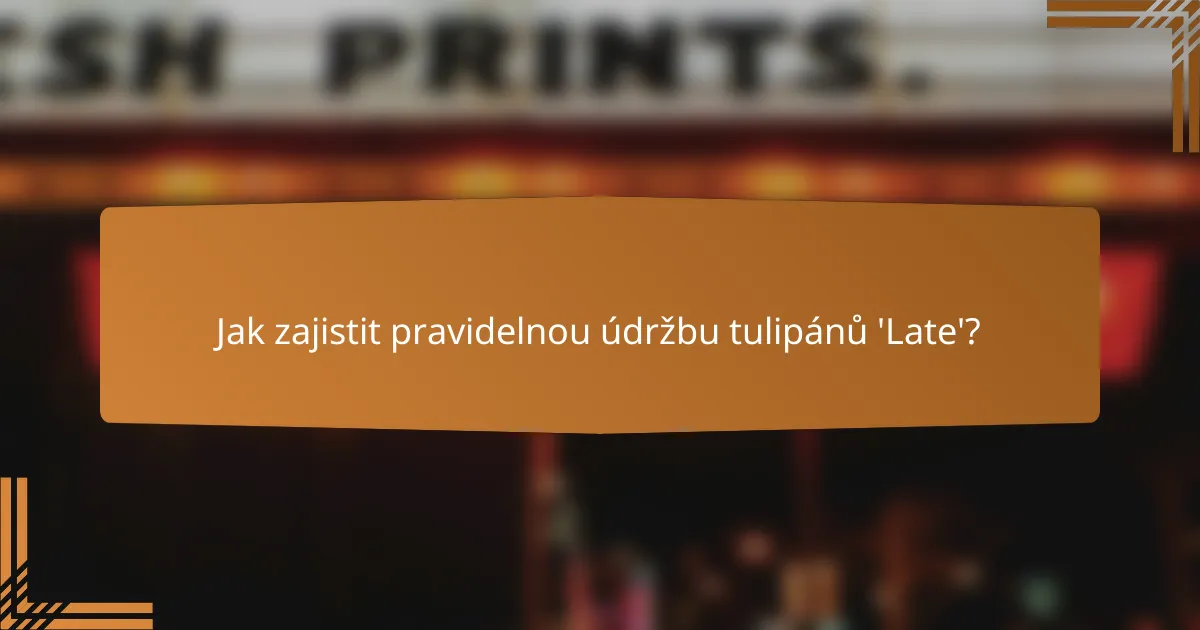 Jak zajistit pravidelnou údržbu tulipánů 'Late'?