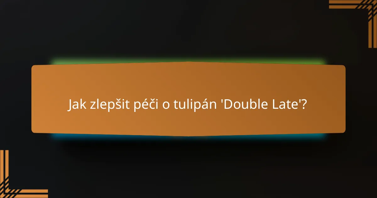 Jak zlepšit péči o tulipán 'Double Late'?