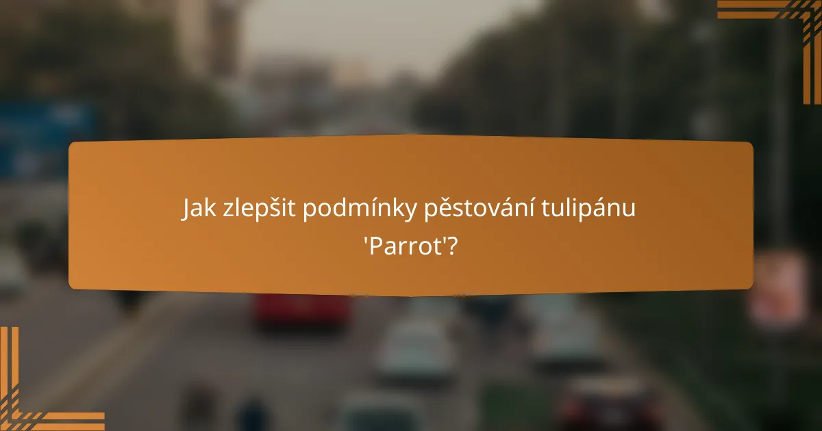 Jak zlepšit podmínky pěstování tulipánu 'Parrot'?