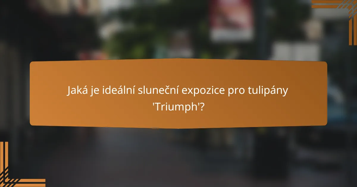 Jaká je ideální sluneční expozice pro tulipány 'Triumph'?