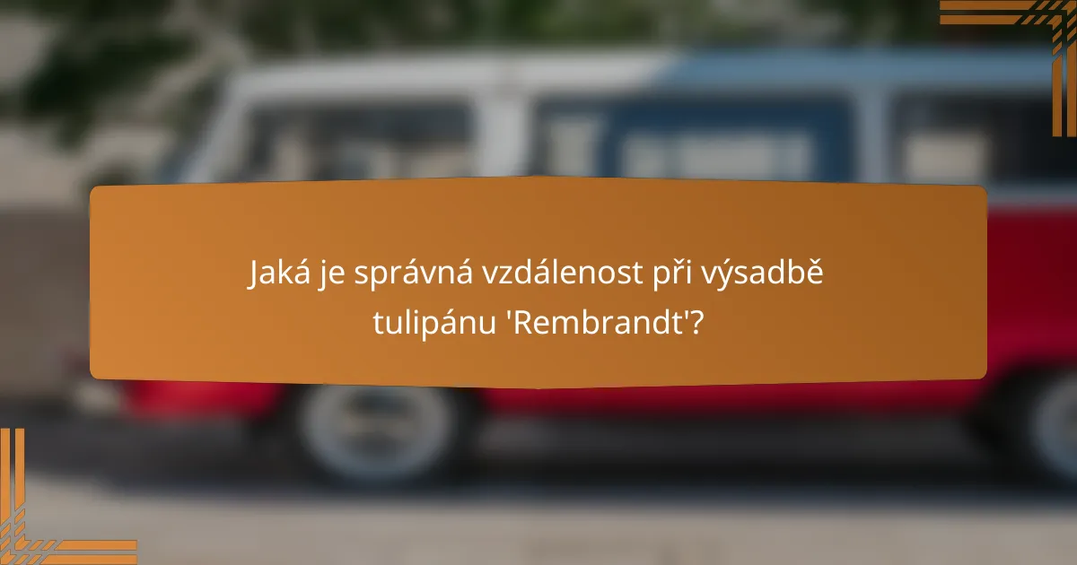 Jaká je správná vzdálenost při výsadbě tulipánu 'Rembrandt'?