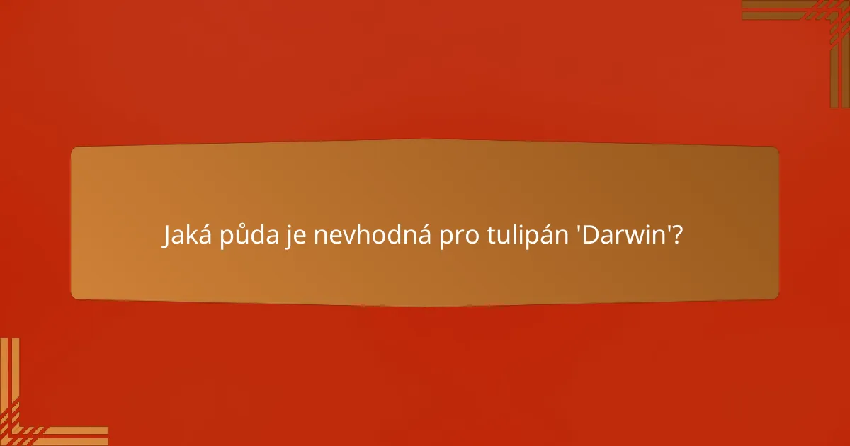 Jaká půda je nevhodná pro tulipán 'Darwin'?