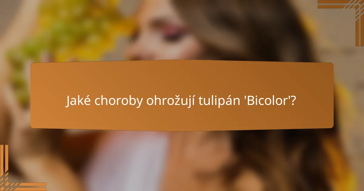 Jaké choroby ohrožují tulipán 'Bicolor'?
