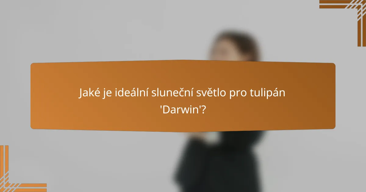 Jaké je ideální sluneční světlo pro tulipán 'Darwin'?