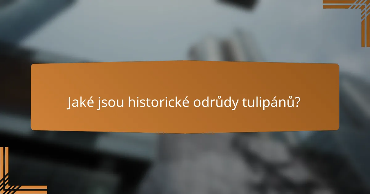 Jaké jsou historické odrůdy tulipánů?