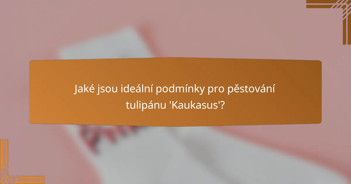 Jaké jsou ideální podmínky pro pěstování tulipánu 'Kaukasus'?