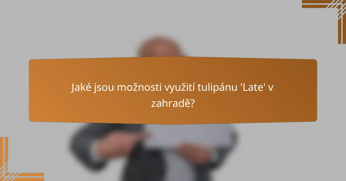 Jaké jsou možnosti využití tulipánu 'Late' v zahradě?