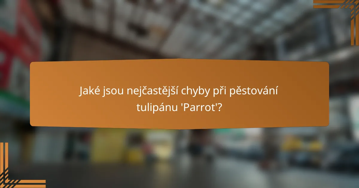 Jaké jsou nejčastější chyby při pěstování tulipánu 'Parrot'?