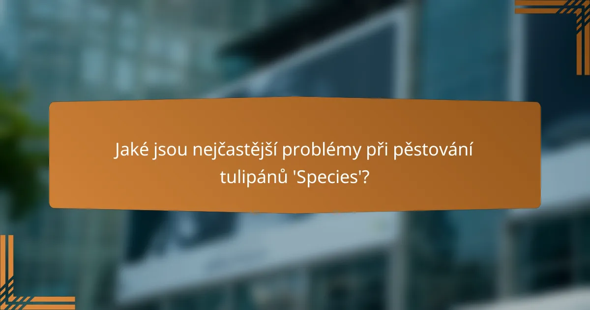 Jaké jsou nejčastější problémy při pěstování tulipánů 'Species'?