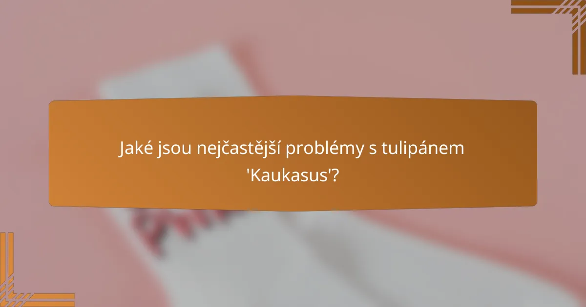Jaké jsou nejčastější problémy s tulipánem 'Kaukasus'?