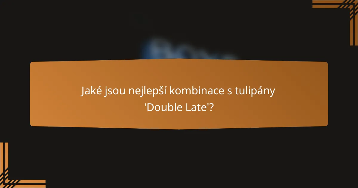 Jaké jsou nejlepší kombinace s tulipány 'Double Late'?