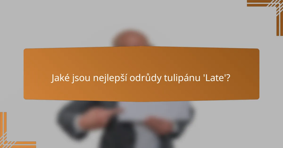 Jaké jsou nejlepší odrůdy tulipánu 'Late'?