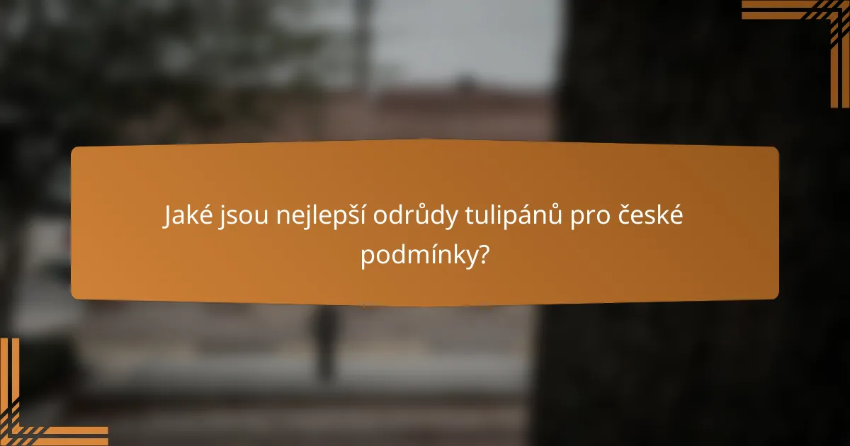 Jaké jsou nejlepší odrůdy tulipánů pro české podmínky?