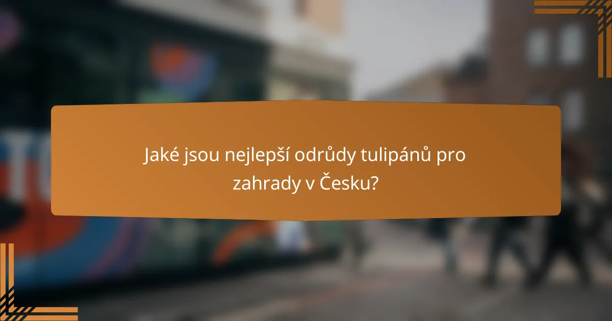 Jaké jsou nejlepší odrůdy tulipánů pro zahrady v Česku?