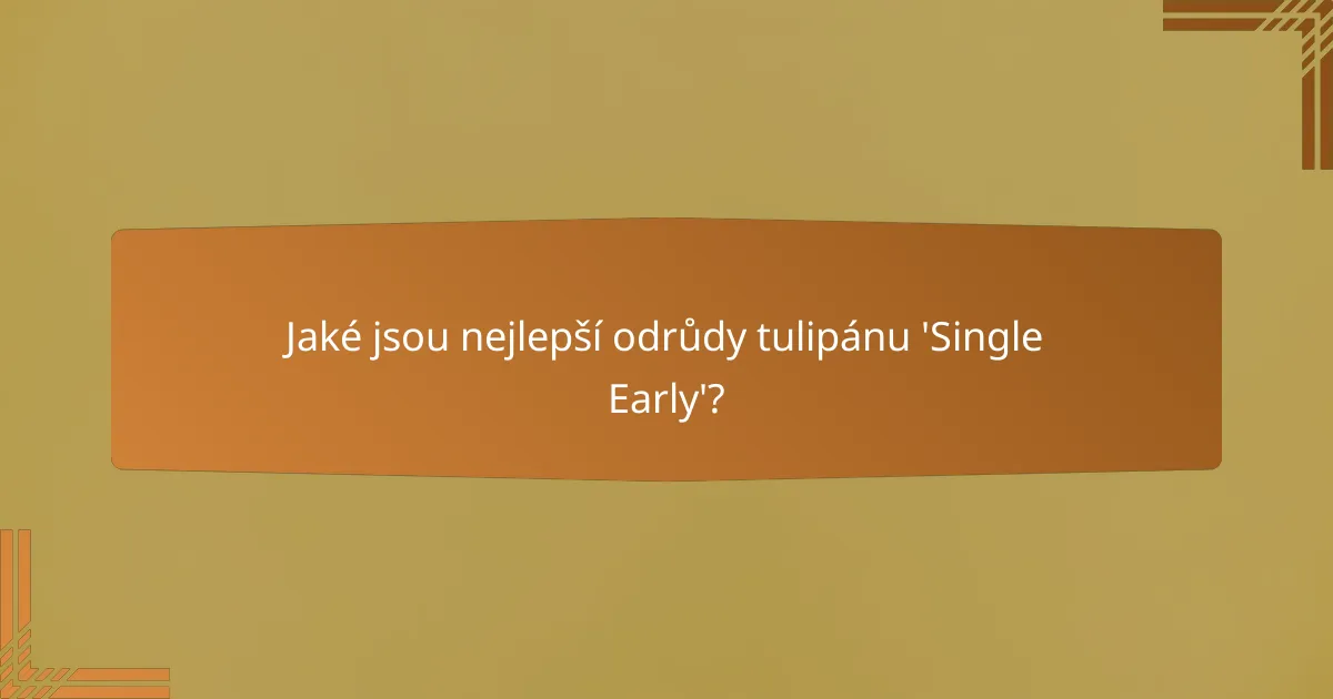 Jaké jsou nejlepší odrůdy tulipánu 'Single Early'?