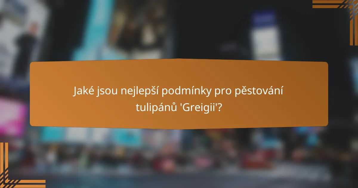 Jaké jsou nejlepší podmínky pro pěstování tulipánů 'Greigii'?