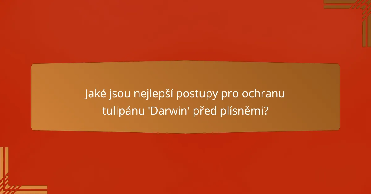 Jaké jsou nejlepší postupy pro ochranu tulipánu 'Darwin' před plísněmi?