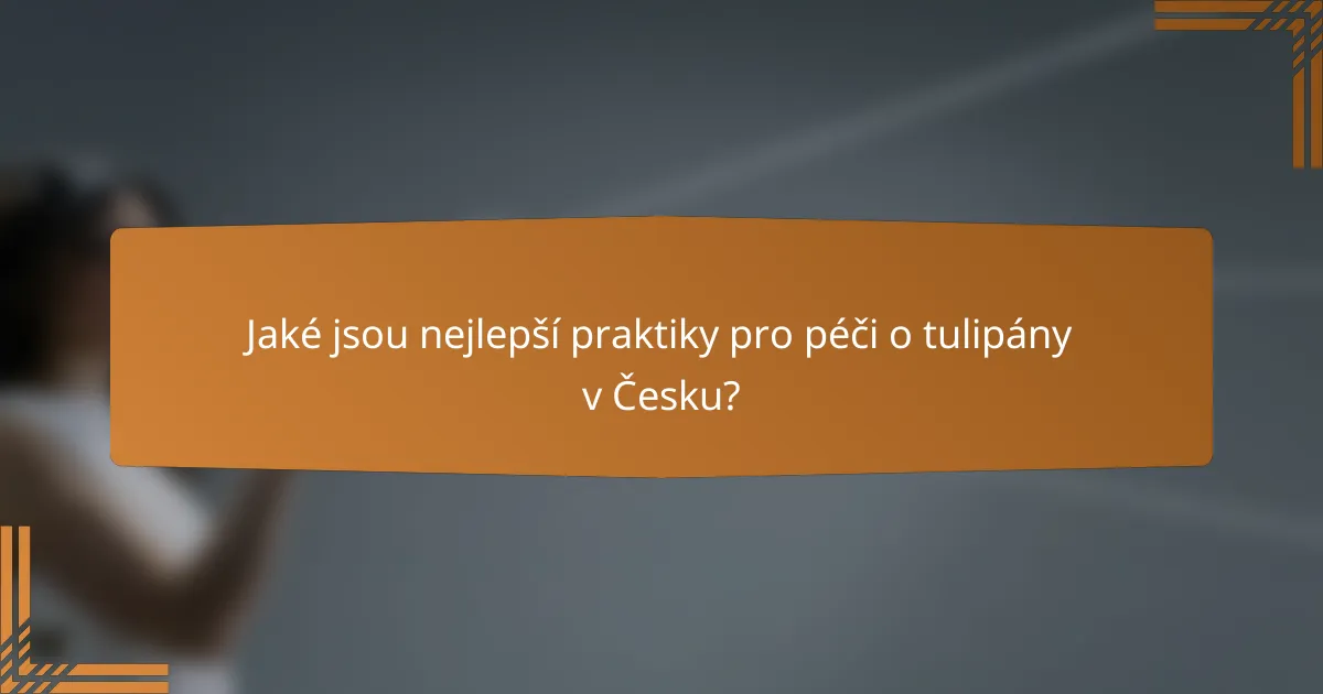 Jaké jsou nejlepší praktiky pro péči o tulipány v Česku?