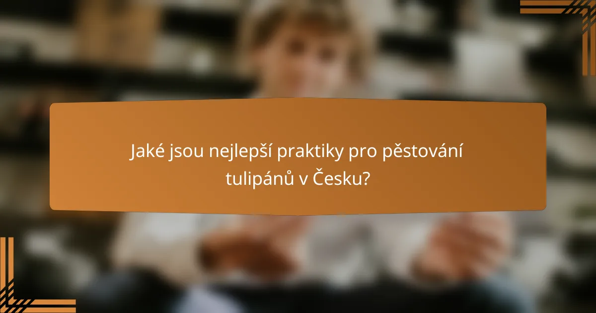 Jaké jsou nejlepší praktiky pro pěstování tulipánů v Česku?