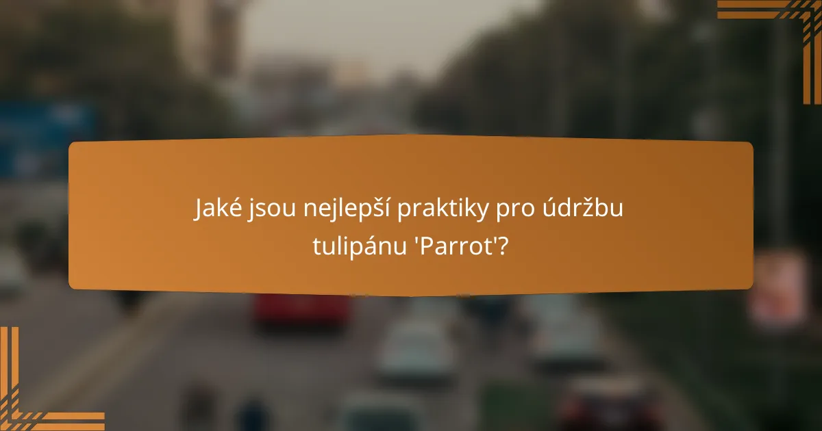 Jaké jsou nejlepší praktiky pro údržbu tulipánu 'Parrot'?