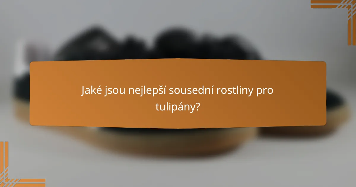 Jaké jsou nejlepší sousední rostliny pro tulipány?