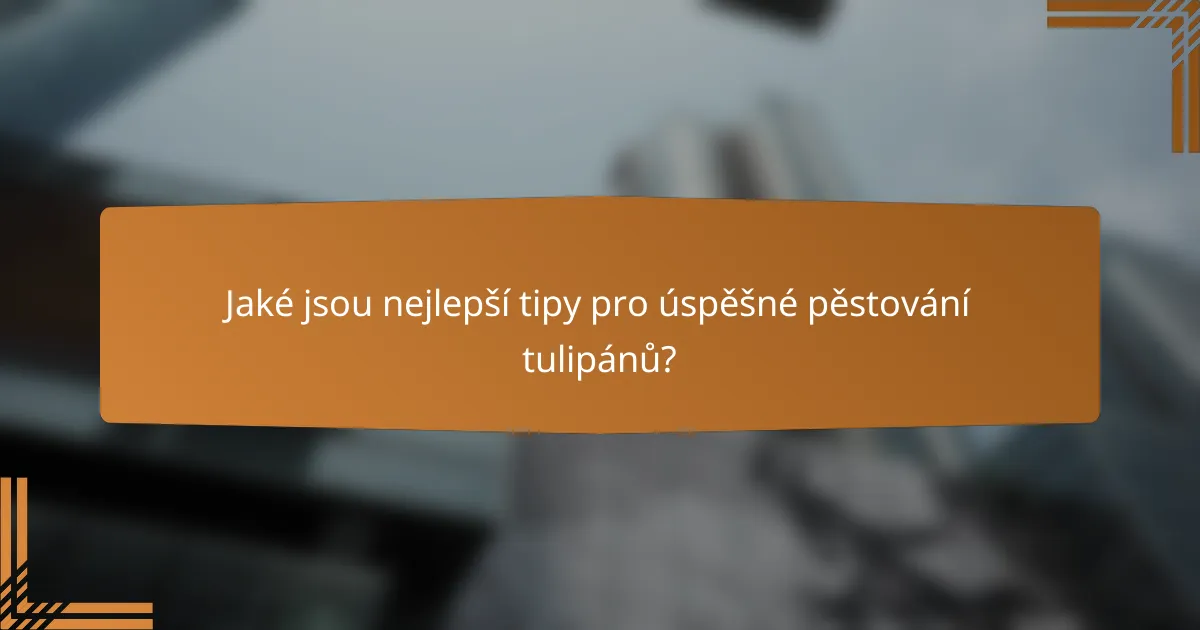 Jaké jsou nejlepší tipy pro úspěšné pěstování tulipánů?