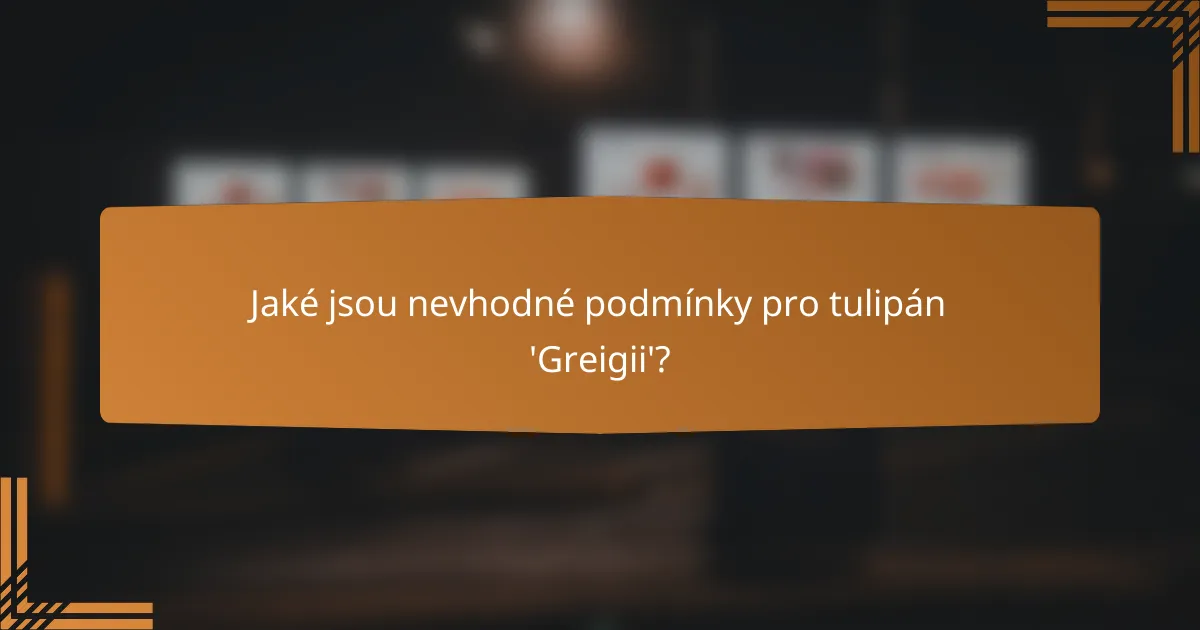 Jaké jsou nevhodné podmínky pro tulipán 'Greigii'?