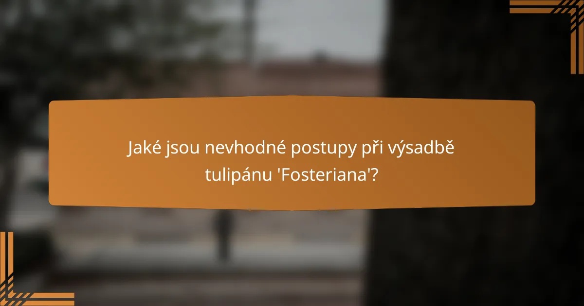 Jaké jsou nevhodné postupy při výsadbě tulipánu 'Fosteriana'?