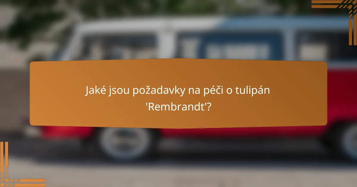 Jaké jsou požadavky na péči o tulipán 'Rembrandt'?