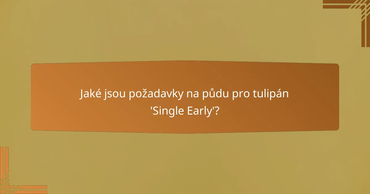 Jaké jsou požadavky na půdu pro tulipán 'Single Early'?