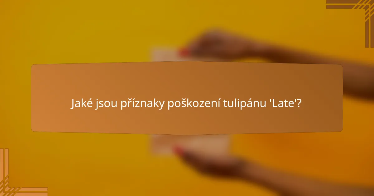 Jaké jsou příznaky poškození tulipánu 'Late'?