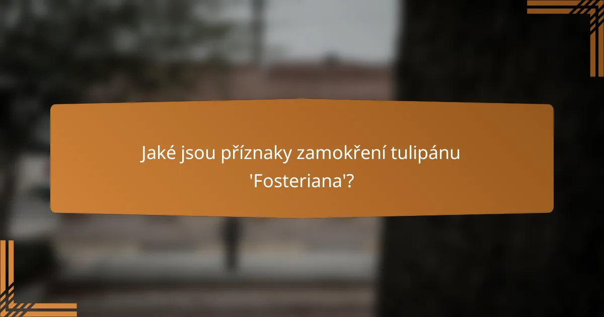 Jaké jsou příznaky zamokření tulipánu 'Fosteriana'?