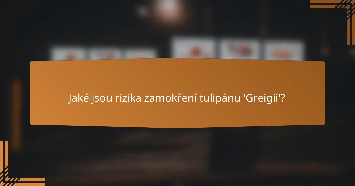 Jaké jsou rizika zamokření tulipánu 'Greigii'?