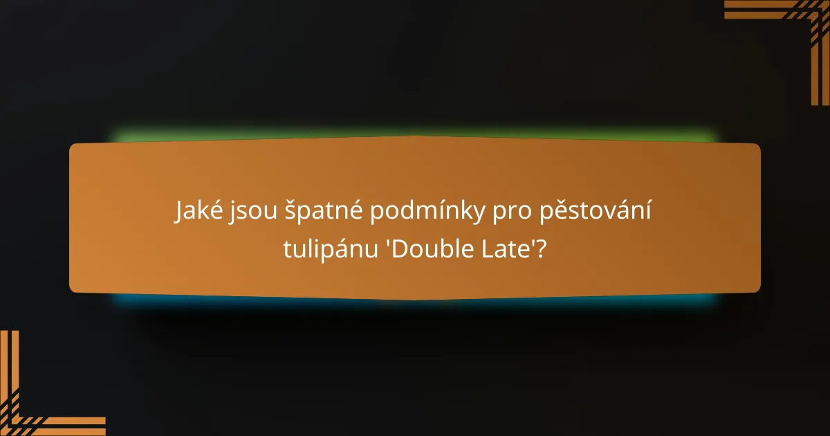Jaké jsou špatné podmínky pro pěstování tulipánu 'Double Late'?