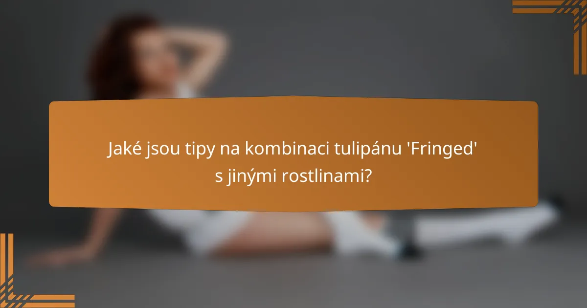 Jaké jsou tipy na kombinaci tulipánu 'Fringed' s jinými rostlinami?