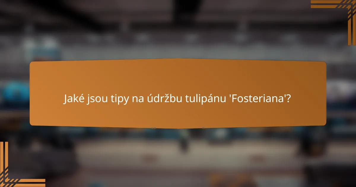 Jaké jsou tipy na údržbu tulipánu 'Fosteriana'?