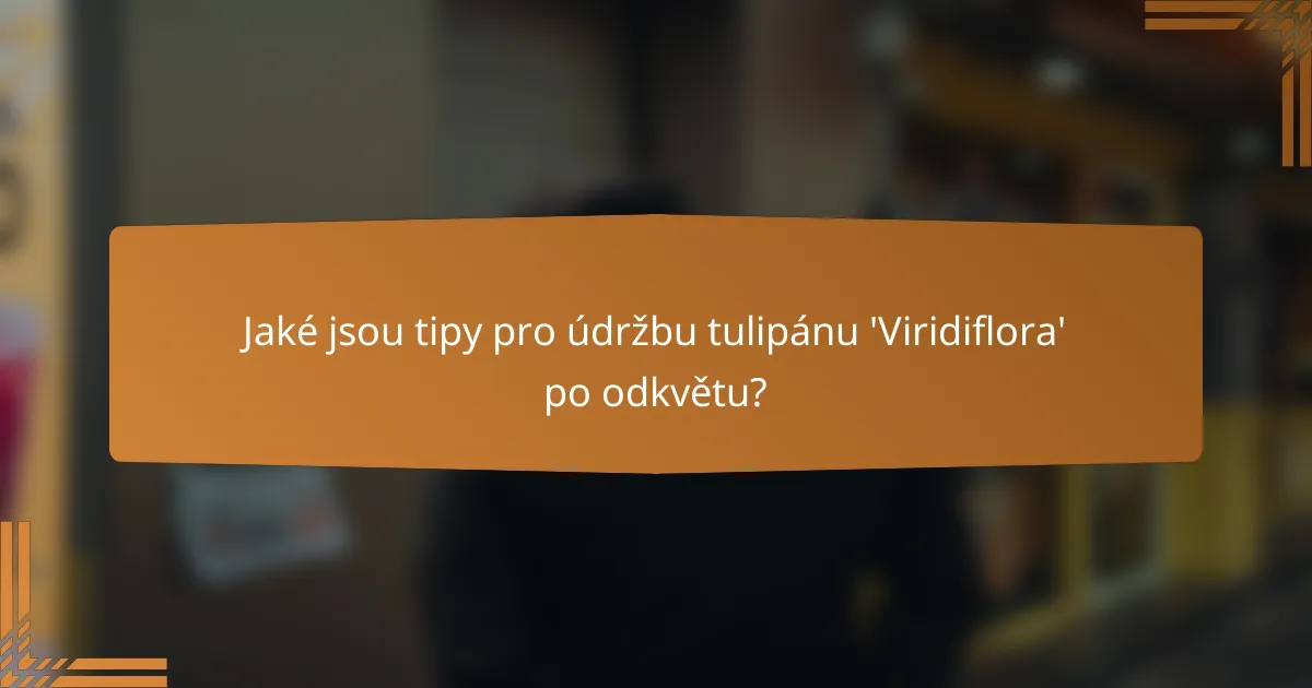 Jaké jsou tipy pro údržbu tulipánu 'Viridiflora' po odkvětu?