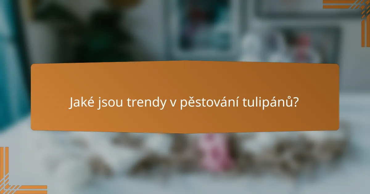 Jaké jsou trendy v pěstování tulipánů?