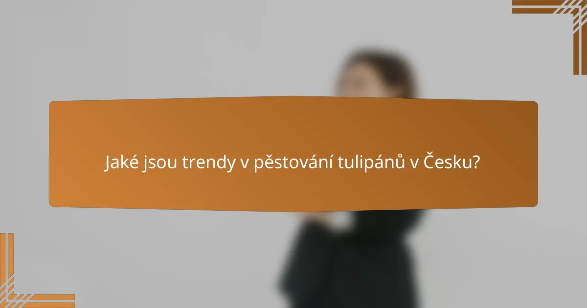 Jaké jsou trendy v pěstování tulipánů v Česku?