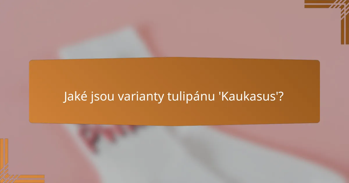 Jaké jsou varianty tulipánu 'Kaukasus'?