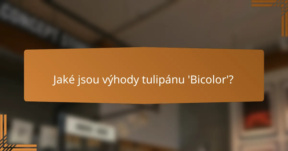 Jaké jsou výhody tulipánu 'Bicolor'?
