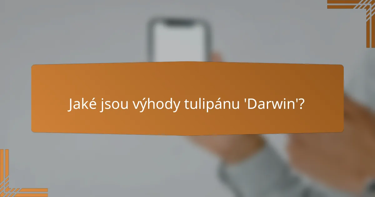 Jaké jsou výhody tulipánu 'Darwin'?
