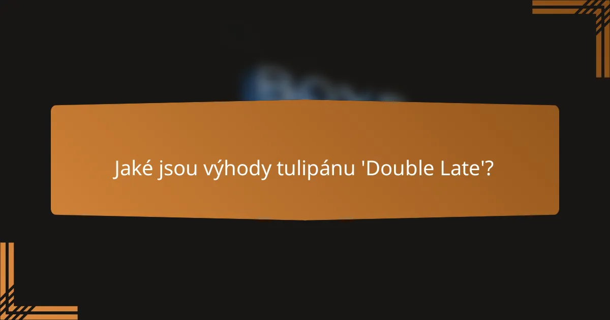 Jaké jsou výhody tulipánu 'Double Late'?