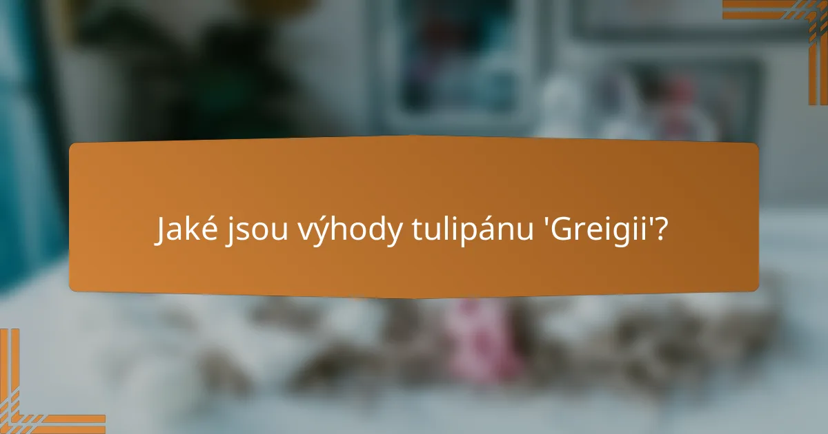 Jaké jsou výhody tulipánu 'Greigii'?