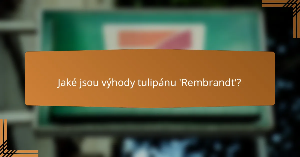 Jaké jsou výhody tulipánu 'Rembrandt'?